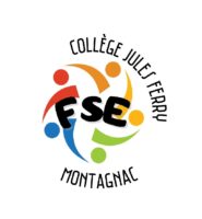 Logo FSE.jpg