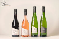 AOP Picpoul de Pinet et IGP cotes de Thau vins vignes et terroirs mas epic gamme.jpg